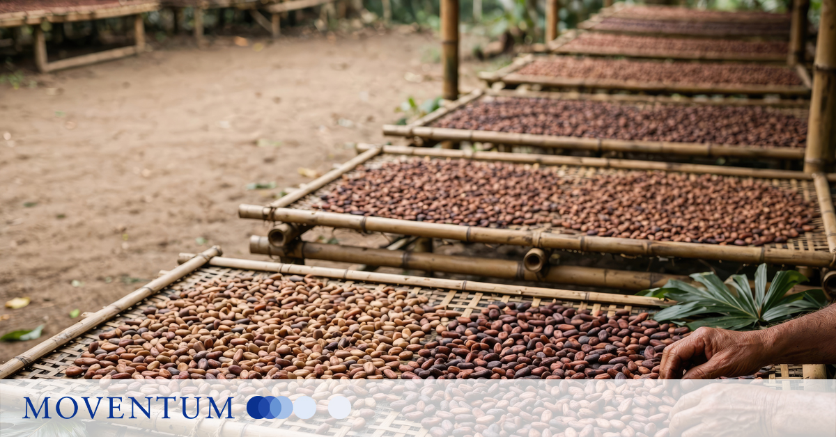 Food prices: The wave of price increases gathers momentum